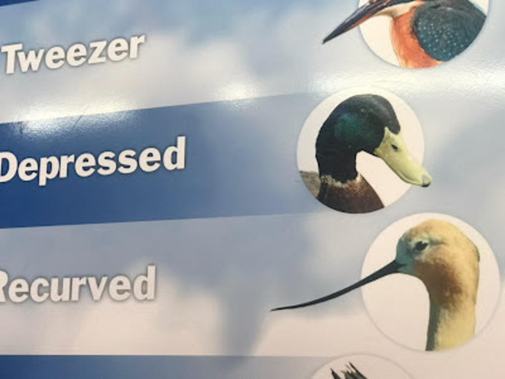 Meet your Posher, Mymy